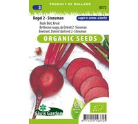 Betterave rouge, Detroit 2 - Storuman - Graines- Env. 3 g | SG0372