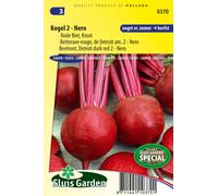 Betterave rouge, Detroit améliore 2 graines Nero - Graines à bulbes - et racines - Env. 6 g | SG0370