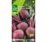 Betterave rouge Detroit Graines- Env. 4 gr | VT_220