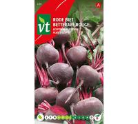 Betterave Rouge Égyptienne Plat Rond Graines - Environ 5 gr | VT_630