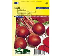 Betterave rouge Kogel 2 graines - Plantes avec tubercules et racines - Environ 8 g | SG0375