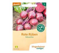 Betterave rouge - Robuschka