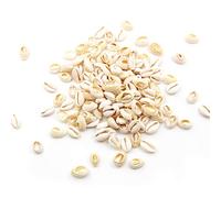 BetterJonny Lot de 150 coquillages ovales en spirale pour loisirs créatifs - 1,6 à 1,8 cm