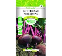 BETTRAVE Noire d'Egypte Bio