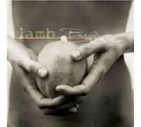 Between Darkness & Wonder by Lamb (2003-11-24)
