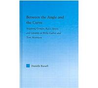 Between the Angle And the Curve, Literary Criticism and Cultural Theory