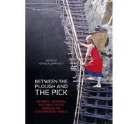 Between The Plough And The Pick: Informal, Artisanal And Small-Scale Mining In The Contemporary World