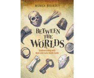 Between the Worlds by Monica Bodirsky Monica Bodirsky (Auteur)
