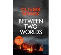 Between Two Worlds: THE TIMES Best Crime Novel of the Year 2024
