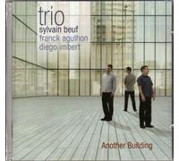Beuf, Sylvain Trio - Another Building