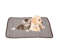 Beufee Mat de Refroidissement pour Chien, Paut de Compagnie Doux pour Animaux de Compagnie Soft Ice Silk Cold Nest Pad pour Refroidissement dans Un Pad pour Animaux de Compagnie pour Le (XL)
