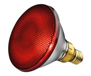 Beurer Ampoule Lampe Infra-Rouge 150W Pièce 1