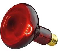 Ampoule Infrarouge 100W Il 11