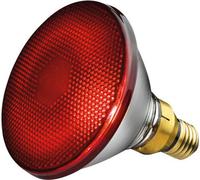 Beurer Radiateur de remplacement 150 watts de Philips pour lampes infrarouges