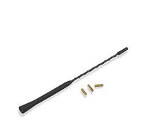 BEUTEE Mât de Toit de Voiture Universel 9/11/16 Pouces, Fouet, Radio stéréo, Signal FM/AM, antenne amplifiée, Accessoires Automobiles (Size : 11 inch)