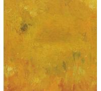 Bevel - Where Leaves Block the Su