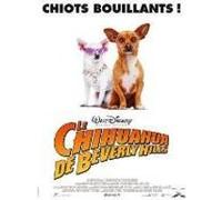 BEVERLY HILLS CHIHUAHUA-VF G