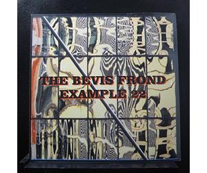 Bevis Frond - Example 22