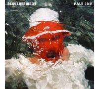 Bewilderment Vinyle Vert Vinyle