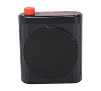 Bewinner Amplificateur Vocal sans Fil avec 2 Micros Lavalier, Système de Haut-parleurs Portables Bluetooth 5.3, 15 W Rechargeable pour l'enseignement en Classe, Les Réunions, Les Discours (Black)