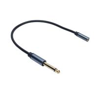 Bewinner Câble Adaptateur pour Casque 6,35 Mm à 3,5 Mm, Coque en Métal plaqué or, Câble Jack Stéréo à Noyau en Cuivre, avec Gaine en PVC Souple, pour Guitare, Ampli, Piano, Clavier,