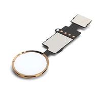 Bewinner Câble Flexible de Remplacement pour Bouton de Retour à Domicile pour 7 7 Plus 8 8 Plus, Module Flexible de Bouton d'accueil en ABS de qualité Supérieure, Couleur Dorée, Aucune Soudure (GOLD)