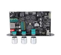 Bewinner Carte Amplificateur Bluetooth 100 W, Module d'ampli Mono avec Véritable Couplage Stéréo sans Fil, 4 Modes d'entrée AUX USB, Circuit Boost, Bouton de Contrôle du Volume TPA3116D2 5.3