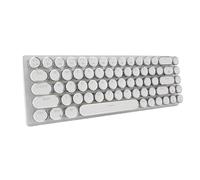 Bewinner Clavier Mécanique câblé, Kypewriter Mécanique Keyboard Interrupteurs Bleus, Éclairage RVB Dynamique, Mini Clavier Compact 68 Touches avec Touches Flèches (White)