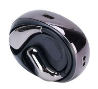 Bewinner Écouteurs de Traduction de L'IA, Traducteur D'accents de Langues en Temps Réel 138 Langues, Amélioration du Bruit Bluetooth 5.0, 3in1 Traduction, Traduire Les écouteurs pour