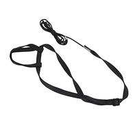 Bewinner Harnais pour Oiseaux, Laisse Ultra Légère, Corde Volante Réglable pour Perroquet pour Jouer en Plein Air, Corde de Traction élastique Résistante aux Morsures pour Perroquet Calopsitte, (M)