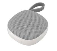 Bewinner Haut-Parleur Bluetooth Magnétique |BT5.3, IPX6, Emplacement pour Carte SD, Son 5 W à 360° - Parfait pour Les Voiturettes et Sacs de Golf. (Gray)