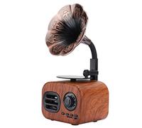 Bewinner Mini Haut-Parleur Bluetooth Rétro, Haut-Parleur Portable sans Fil avec Basses Riches, Carte TF/entrée AUX, Autonomie de 12 Heures, Compact pour Voyage, Ordinateur de Bureau, Ordinateur