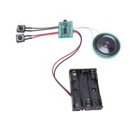 Bewinner Module Enregistreur de Son, Dispositif d'enregistrement Vocal de Musique Enregistrable en 4 Minutes pour Cartes de Vœux, Comprend Un Haut-Parleur de 40 Mm et Un Câble de Clavier de 5 Cm