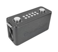 Bewinner Petit Haut-Parleur Portable pour Adultes avec Microphone sans Fil, Télécommande, Système de Chant de Fête à Domicile en Aluminium, Conception de Poignée Rechargeable de 6000 MAh