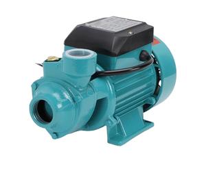 Bewinner Pompe Centrifuge 0,5 Chevaux, Hauteur de Levage de 36 M avec Débit de 36 LPM, Pompe à Eau Auto-amorçante pour la Stimulation Domestique et l'irrigation Agricole