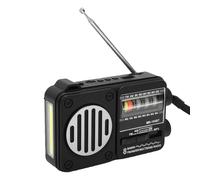 Bewinner Radio AM/FM/SW Portable avec Bluetooth |Batterie 800 MAh, Lecture USB/AUX, Réception Améliorée pour Une Utilisation Domestique et extérieure. (Argent Peint en Noir)