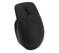 Bewinner Souris sans Fil - 2,4 GHz avec Mini Récepteur USB, Souris sans Fil Légère pour Ordinateur Portable, Souris D'Ordinateur Réglable 800 1200 1600 DPI, Souris Optique Ergonomique