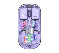 Bewinner Souris Transparente sans Fil pour PC Portable, Souris Optique USB Rétroéclairée RVB, Souris de Jeu BT 5.0/2,4 G 2 Modes - Design Ergonomique, 800/1200/1600 DPI, Veille