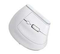 Bewinner Souris Verticale sans Fil |Bluetooth 5.2 et 2.4G Double Mode, 1600 DPI, Rétroéclairage RVB, Rechargeable, Conception Silencieuse à 6 Boutons pour PC/Mac/Android (White)