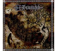 Bewitched - Unveiling Zion: The Mother's. [Import]