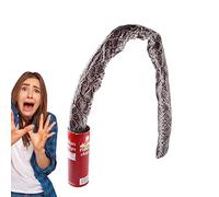 Bexdug Farces du Poisson d'avril | Farces du Poisson d'avril,Snake in A Can Trick Gag Toy & Scary Shock Snake Trick, Spring Snakes Prank, Potato Chip Can