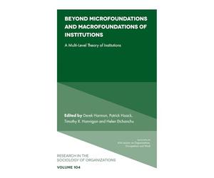 Beyond Microfoundations and Macrofoundations of Institutions: A Multi-Level Theory of Institutions