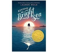 Beyond The Bright Sea
