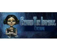 Beyond the Invisible Evening (Steam Account)