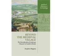 Beyond The Medieval Village