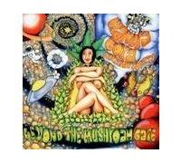 Beyond the Mushroam Gate