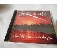 Beyond the Reef--The Sound of the Steel Drums and the Sea