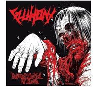 Beyond The Veil Of Flesh