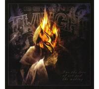 Beyond Twilight - For The Love Of Art And The Making