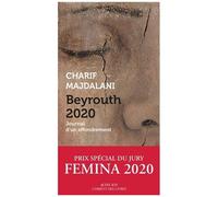 Beyrouth 2020 - Journal D'un Effondrement